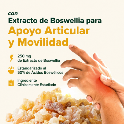 Suplemento de cúrcuma y curcumina Lakadong - Apoyo antiinflamatorio